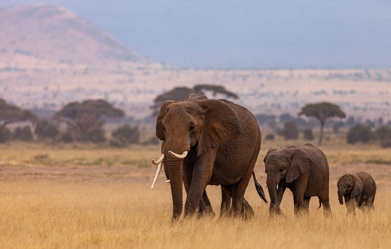 Kenya